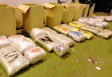 U akciji Port zaplenjeno 485, a ne 430 kg kokaina iz Kolumbije u-akciji-port-zaplenjeno-485,-a-ne-430-kg-kokaina-iz-kolumbije