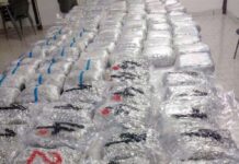 U kamionu iz Turske na prelazu Gradina pronadjeno 220 kg marihuane u-kamionu-iz-turske-na-prelazu-gradina-pronadjeno-220-kg-marihuane