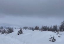 Na Žabljaku izmereno 86 centimetra snega na-zabljaku-izmereno-86-centimetra-snega