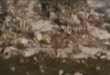 Tri osobe poginule u saobraćajnoj nesreći kod Rožaja tri-osobe-poginule-u-saobracajnoj-nesreci-kod-rozaja