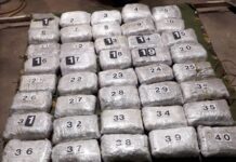 Preko 40 kilograma marihuane u duplom dnu automobila (FOTO) preko-40-kilograma-marihuane-u-duplom-dnu-automobila-(foto)