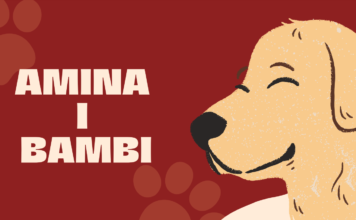 Amina iz Novog Pazara inspiriše dobrotom i briga o psu lutalici / Video