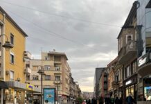 Određen pritvor osumnjičenima za ubistvo u Nišu odredjen-pritvor-osumnjicenima-za-ubistvo-u-nisu