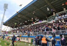 Utakmica u Novom Pazaru počela ubacivanjem igračaka u teren za decu Turske i Sirije utakmica-u-novom-pazaru-pocela-ubacivanjem-igracaka-u-teren-za-decu-turske-i-sirije