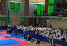 Karatistima Feniksa 15 medalja u Čajetini karatistima-feniksa-15-medalja-u-cajetini