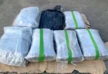 Osumnjičena za prevoz 8,5 kg marihuane ćutala u tužilaštvu osumnjicena-za-prevoz-8,5-kg-marihuane-cutala-u-tuzilastvu