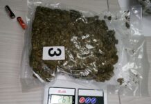 Uhapšen državljanin CG zbog šverca marhinuane uhapsen-drzavljanin-cg-zbog-sverca-marhinuane