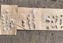 Dileri se najčešće se po izlasku iz zatvora vrate tim delima dileri-se-najcesce-se-po-izlasku-iz-zatvora-vrate-tim-delima