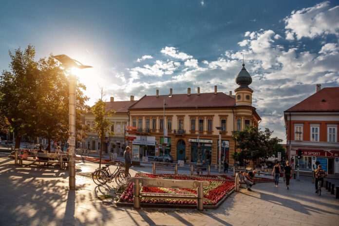 tuzilastvo-trazi-pritvor-za-majku-osumnjicenu-za-maltretiranje-devojcice