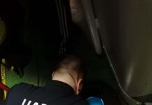 Sprečeno krijumčarenje preko 12.000 litara nafte spreceno-krijumcarenje-preko-12.000-litara-nafte