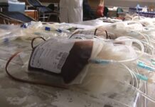 Danas akcija dobrovoljnog davanja krvi u Novom Pazaru danas-akcija-dobrovoljnog-davanja-krvi-u-novom-pazaru