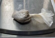 Uhapšen još jedan diler povezan sa heroinom od kojeg je preminuo muškarac iz Novog Pazara uhapsen-jos-jedan-diler-povezan-sa-heroinom-od-kojeg-je-preminuo-muskarac-iz-novog-pazara