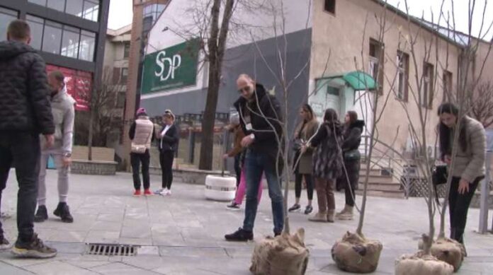 clanovi-gradskog-odbora-sdp-u-novom-pazaru-zasadili-vise-sadnica-na-nekoliko-lokacija