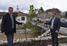 Akcija „Za šumu u tvom kraju“ i u Novom Pazaru akcija-„za-sumu-u-tvom-kraju“-i-u-novom-pazaru