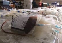 Sutra akcija dobrovoljnog davanja krvi u Novom Pazaru sutra-akcija-dobrovoljnog-davanja-krvi-u-novom-pazaru