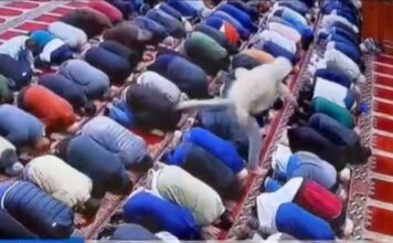 UZNEMIRUJUĆE: Muškarac nožem izbo imama na sedždi (VIDEO) uznemirujuce:-muskarac-nozem-izbo-imama-na-sedzdi-(video)