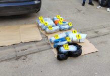 U Jagodini policija zaplenjenila 13 kilograma marihuane, uhapšen muškarac u-jagodini-policija-zaplenjenila-13-kilograma-marihuane,-uhapsen-muskarac