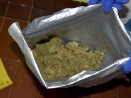 granicna-policija-plava-pronasla-54,4-kilograma-marihuane