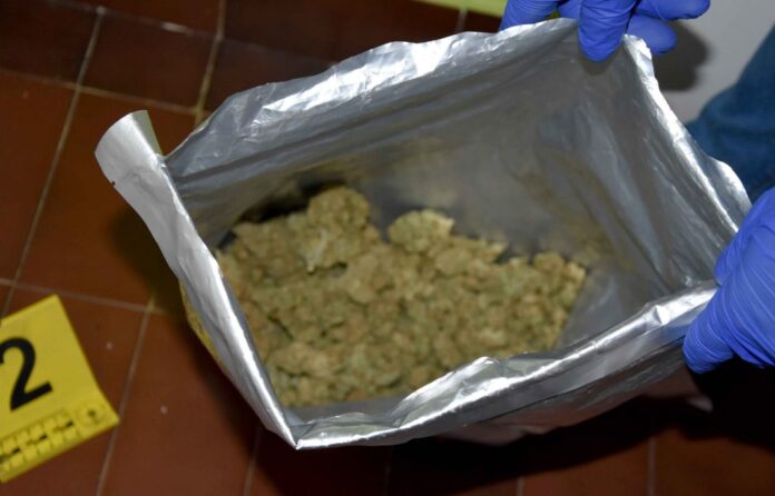 granicna-policija-plava-pronasla-54,4-kilograma-marihuane