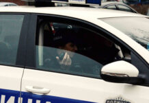 NA ZVEZDARI PAO PAZARAC S POTERNICE: Primetio ga policajac, a on umesto lične karte potegao nož na-zvezdari-pao-pazarac-s-poternice:-primetio-ga-policajac,-a-on-umesto-licne-karte-potegao-noz