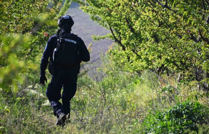 jezivo!-fotografije-arsenala-oruzja-koje-je-koristio-masovni-ubica-iz-mladenovca