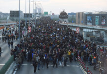 Gazela i dalje blokirana, ne zna se koliko će potrajati gazela-i-dalje-blokirana,-ne-zna-se-koliko-ce-potrajati
