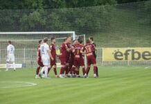 Čukarički – Novi Pazar 4:0 cukaricki-–-novi-pazar-4:0
