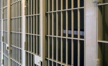 Reliću povećana kazna, pravosnažno osuđen na 12 godina za ubistvo na Adi Huji relicu-povecana-kazna,-pravosnazno-osudjen-na-12-godina-za-ubistvo-na-adi-huji