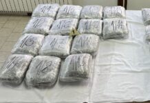VELIKA ZAPLENA MARIHUANE! Novosađanin uhapšen na putu Novi Pazar – Raška sa preko 30 kilograma droge (FOTO) velika-zaplena-marihuane!-novosadjanin-uhapsen-na-putu-novi-pazar-–-raska-sa-preko-30-kilograma-droge-(foto)