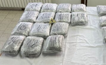 VELIKA ZAPLENA MARIHUANE! Novosađanin uhapšen na putu Novi Pazar – Raška sa preko 30 kilograma droge (FOTO) velika-zaplena-marihuane!-novosadjanin-uhapsen-na-putu-novi-pazar-–-raska-sa-preko-30-kilograma-droge-(foto)