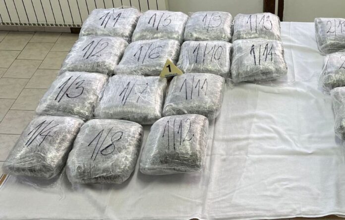 velika-zaplena-marihuane!-novosadjanin-uhapsen-na-putu-novi-pazar-–-raska-sa-preko-30-kilograma-droge-(foto)