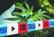 Policija zaplenila dva kilograma kanabisa u mestu Progorelica policija-zaplenila-dva-kilograma-kanabisa-u-mestu-progorelica