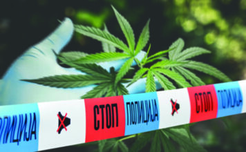 Policija zaplenila dva kilograma kanabisa u mestu Progorelica policija-zaplenila-dva-kilograma-kanabisa-u-mestu-progorelica