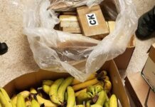 Velika zaplena kokaina u Bosni i Hercegovini velika-zaplena-kokaina-u-bosni-i-hercegovini