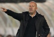 Dragan Aničić na klupi Plavih dragan-anicic-na-klupi-plavih