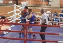 RL u boksu: Sombor – Slavija 10:12 rl-u-boksu:-sombor-–-slavija-10:12