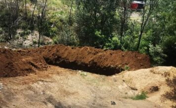 OBAVEŠTENJE! U Novom Pazaru obezbeđeno mesto za odlaganje ostataka od kurbana obavestenje!-u-novom-pazaru-obezbedjeno-mesto-za-odlaganje-ostataka-od-kurbana