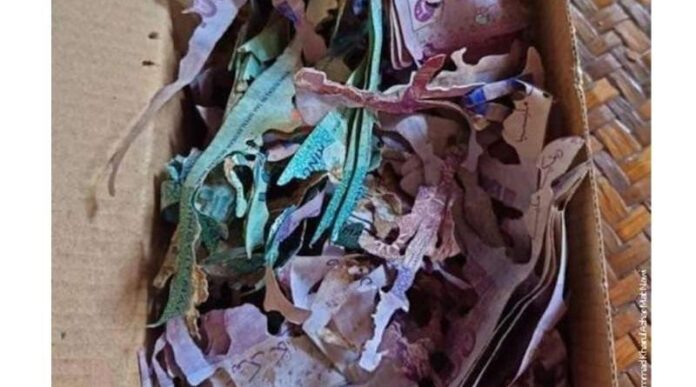 starici-iz-malezije-termiti-pojeli-ustedjevinu-za-hadz