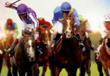 Festival konjičkog sporta prvi put u Novom Pazaru festival-konjickog-sporta-prvi-put-u-novom-pazaru