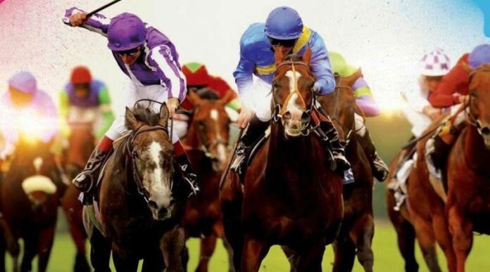 festival-konjickog-sporta-prvi-put-u-novom-pazaru