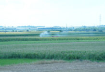 PAO AVION NA BATAJNICI! Poginuo pilot pao-avion-na-batajnici!-poginuo-pilot