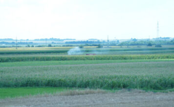PAO AVION NA BATAJNICI! Poginuo pilot pao-avion-na-batajnici!-poginuo-pilot
