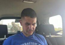 Vađenje na ludilo ne spasava monstruma iz Mladenovca vadjenje-na-ludilo-ne-spasava-monstruma-iz-mladenovca