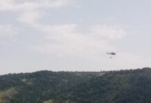 Požari u Grčkoj: 18 tela pronađeno u šumi pozari-u-grckoj:-18-tela-pronadjeno-u-sumi