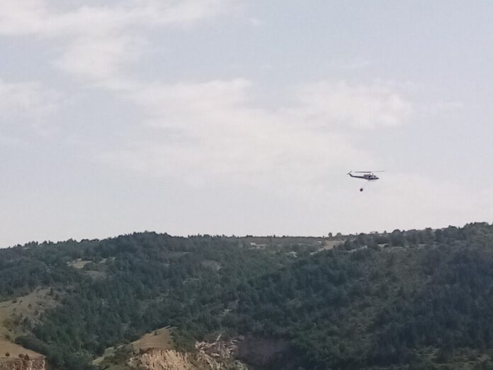 pozari-u-grckoj:-18-tela-pronadjeno-u-sumi pozari-u-grckoj:-18-tela-pronadjeno-u-sumi