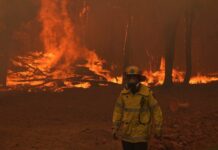 Vatrogasci se bore sa požarima na severozapadu Turske vatrogasci-se-bore-sa-pozarima-na-severozapadu-turske