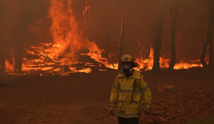 vatrogasci-se-bore-sa-pozarima-na-severozapadu-turske