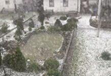 POVREĐENO NAJMANJE 30 OSOBA U NEVREMENU U NEMAČKOJ! Oluja lomila stabla, oštećene zgrade, drvo palo na auto, žena bila unutra povredjeno-najmanje-30-osoba-u-nevremenu-u-nemackoj!-oluja-lomila-stabla,-ostecene-zgrade,-drvo-palo-na-auto,-zena-bila-unutra