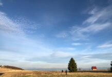 Nesvakidašnja krađa na Goliji: Lopovi upali na imanje Perišića i obrali sav ovogodišnji rod lekovite aronije nesvakidasnja-kradja-na-goliji:-lopovi-upali-na-imanje-perisica-i-obrali-sav-ovogodisnji-rod-lekovite-aronije