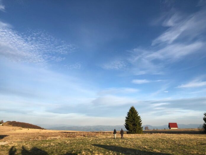 nesvakidasnja-kradja-na-goliji:-lopovi-upali-na-imanje-perisica-i-obrali-sav-ovogodisnji-rod-lekovite-aronije nesvakidasnja-kradja-na-goliji:-lopovi-upali-na-imanje-perisica-i-obrali-sav-ovogodisnji-rod-lekovite-aronije